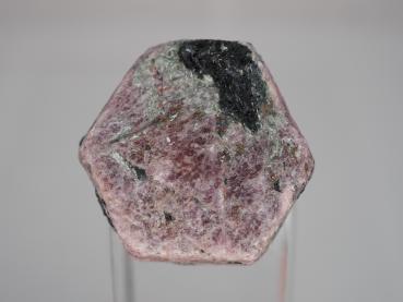 Magnesiotaramite on Ruby